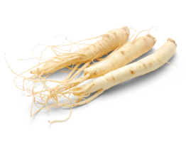 オタネニンジン